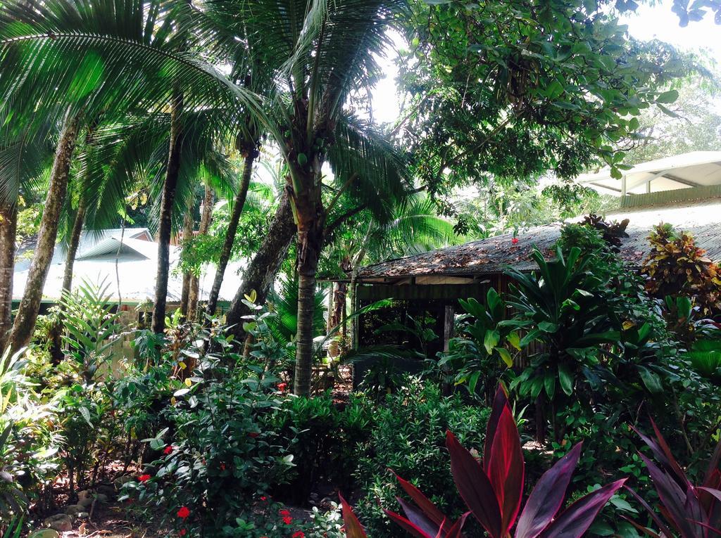 Casa Manglar Villa Puerto Jimenez Exterior photo