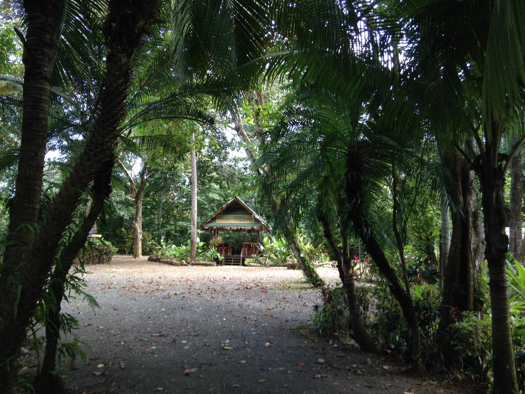 Casa Manglar Villa Puerto Jimenez Exterior photo